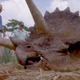 Illustration for article titled Everything you need to know about the scientific controversy that could change Triceratops forever